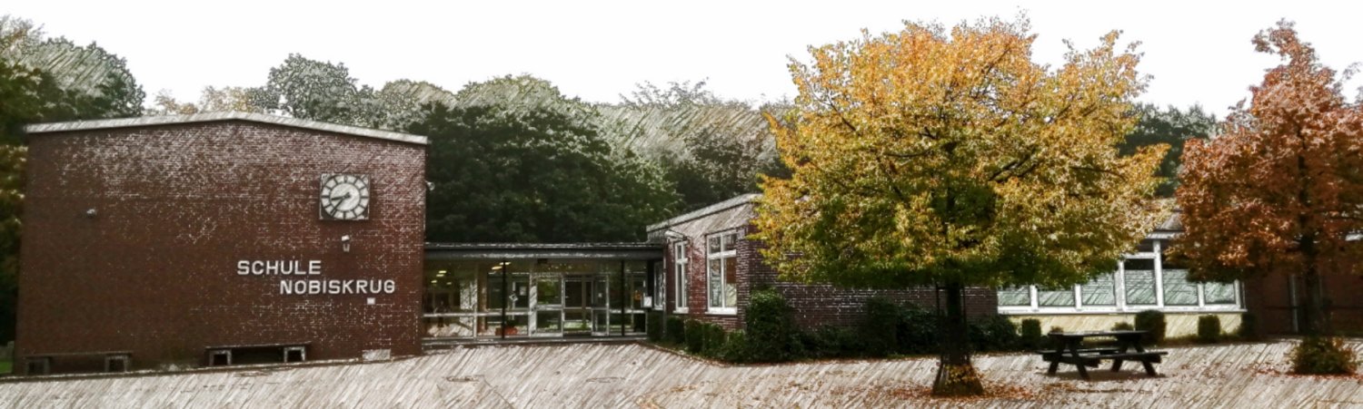 Titelbild Grundschule Nobiskrug Rendsburg